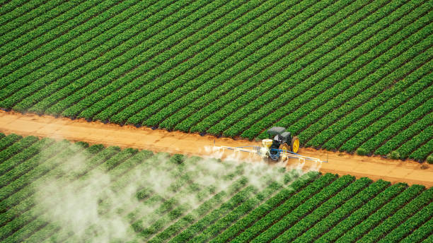 Best Mosquito Control Services  in Llano, TX